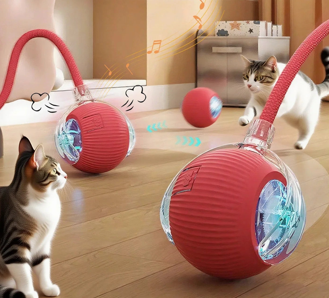 🎁 Juguete Interactivo de Regalo para Gatos